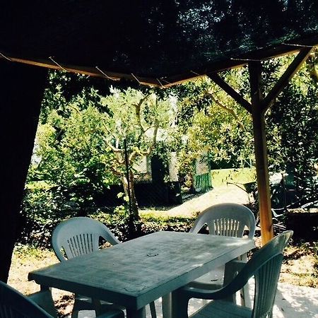 Agriturismo La Mora Assisi Exterior foto